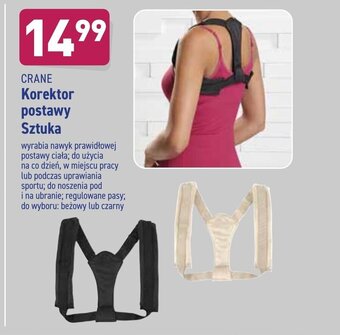 ALDI Korektor postawy oferta