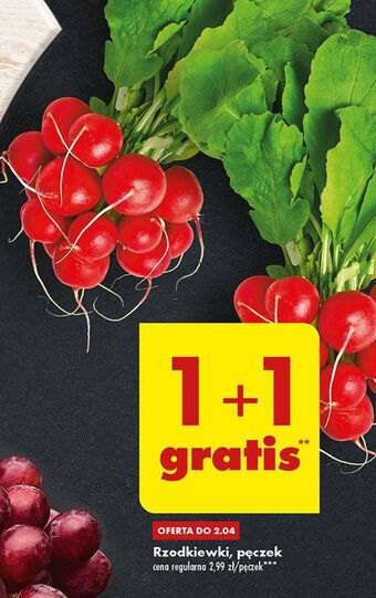 Biedronka Rzodkiewka oferta