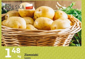 Auchan Ziemniaki oferta