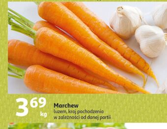 Auchan Marchew oferta
