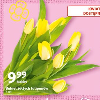Auchan Tulipany bukiet oferta