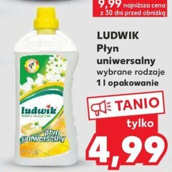 Kaufland Ludwik Płyn uniwersalny 1l oferta