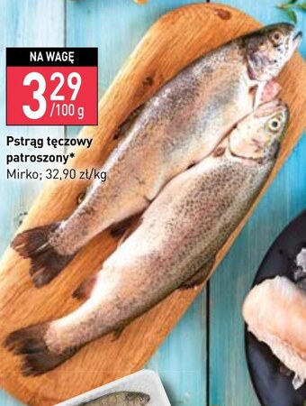 Stokrotka Pstrąg tęczowy oferta