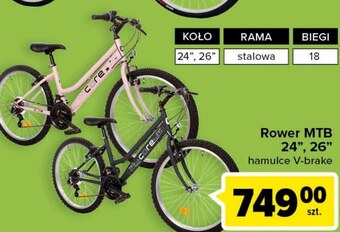 Carrefour Rower oferta