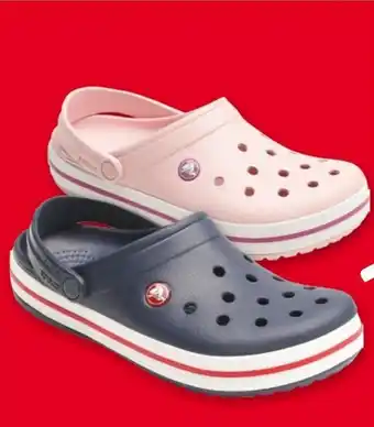 Selgros Chodaki ogrodowe crocs oferta