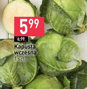 Stokrotka Market Kapusta oferta