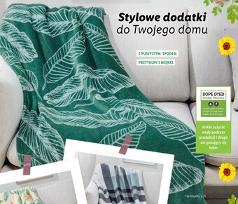 Lidl Koc oferta