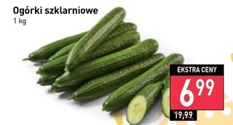 Stokrotka Market Ogórki oferta