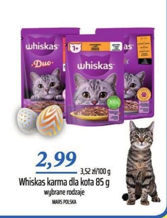 Społem Karma dla kota whiskas oferta
