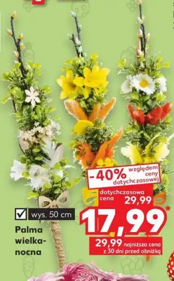 Kaufland Palma wielkanocna wys. 50cm oferta