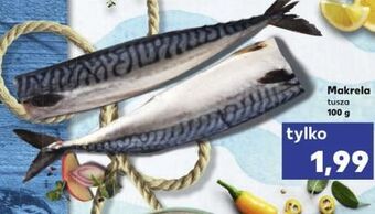 Kaufland Makrela tusza oferta