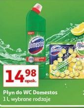 Auchan Płyn do wc pine domestos oferta