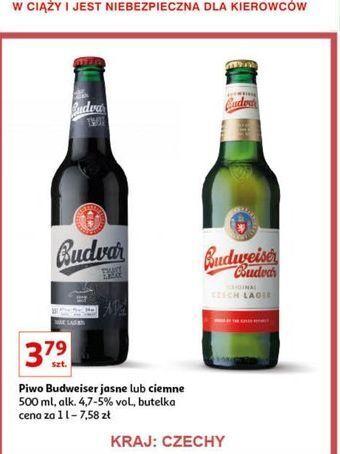 Auchan Piwo b: dark budweiser budvar oferta
