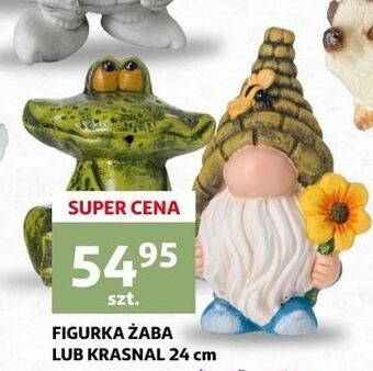 Auchan Figurka żaba oferta