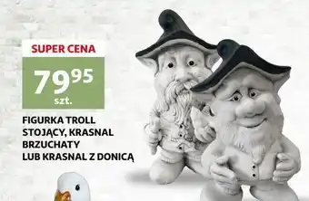 Auchan Krasnal z donicą oferta