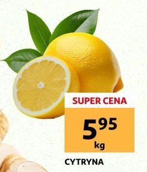 Auchan Cytryny oferta