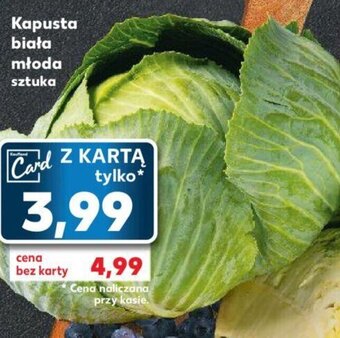 Kaufland Kapusta biała młoda oferta