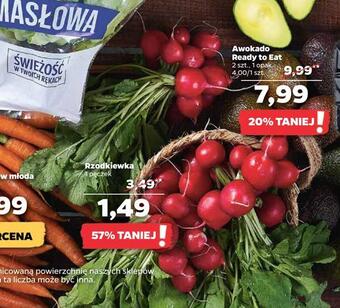 Netto Rzodkiewka oferta