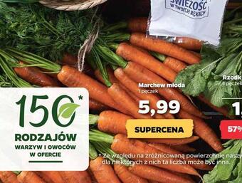 Netto Marchew młoda oferta
