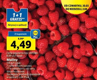 Lidl Maliny oferta