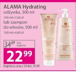 Hebe Odźywka do włosów oferta