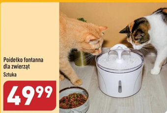 ALDI Poidełko fontanna dla zwierząt oferta