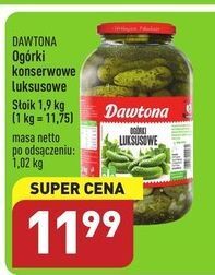 ALDI Ogórki luksusowe dawtona oferta