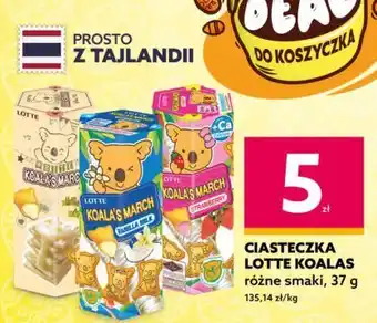 Dealz Ciasteczka biała czekolada lotte koala's march oferta