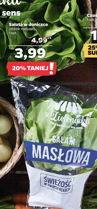 Netto Sałata masłowa z zieleniaka netto oferta