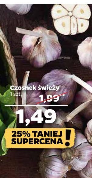 Netto Czosnek oferta