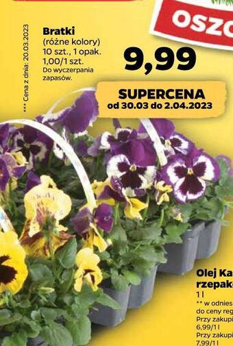 Netto Bratki oferta