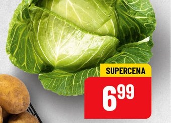 Polomarket Kapusta młoda oferta