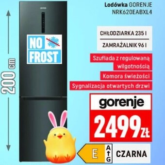 Neopunkt Lodówka gorenje oferta