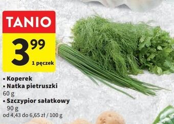 Intermarche Natka pietruszki oferta