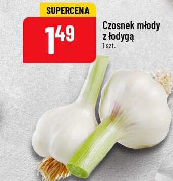 Polomarket Czosnek oferta