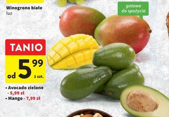 Intermarche Awokado zielone oferta