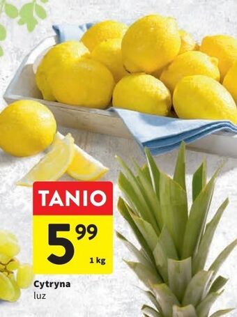 Intermarche Cytryny oferta