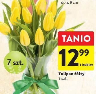 Intermarche Tulipany oferta