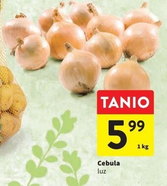 Intermarche Cebula oferta