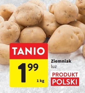 Intermarche Ziemniaki oferta