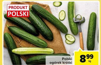 Carrefour Market Ogórki krótkie oferta
