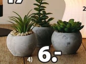 JYSK Roślina sztuczna Bror oferta