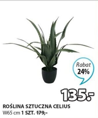 JYSK Roślina sztuczna Celius W65cm oferta