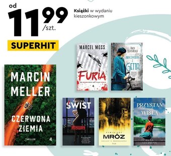 Biedronka Książki w wydaniu kieszonkowym oferta