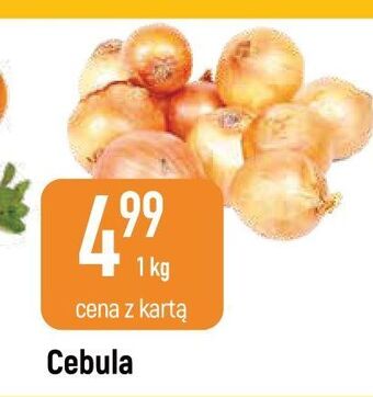 E.Leclerc Cebula oferta