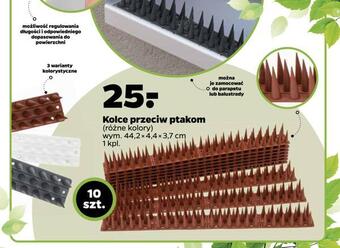Netto Kolce przeciw ptakom oferta