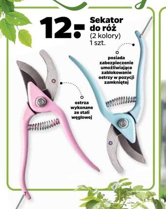 Netto Sekator do róż oferta