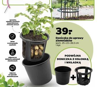 Netto Doniczka do uprawy ziemniaków oferta