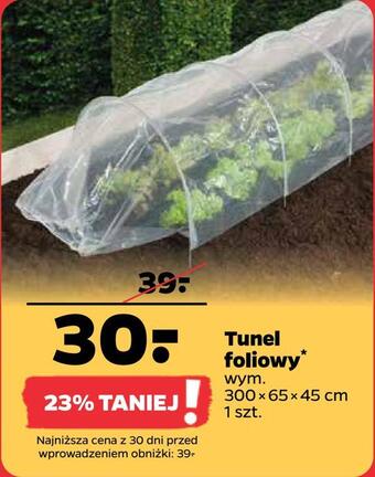 Netto Tunel foliowy oferta
