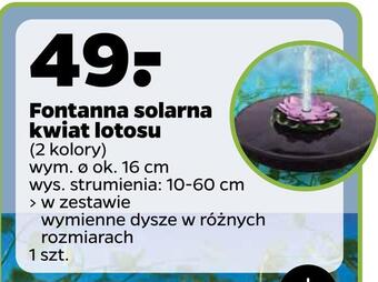 Netto Fontanna solarna kwiat lotosu oferta